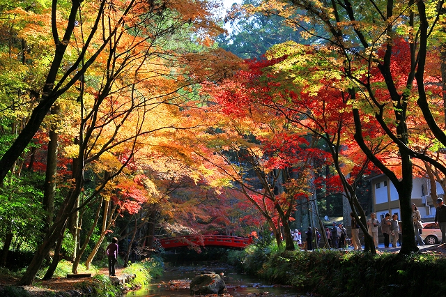 小国神社-4