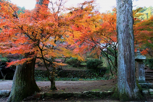 大洞院-2