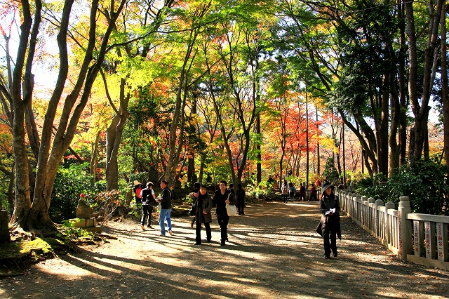 高尾山-4