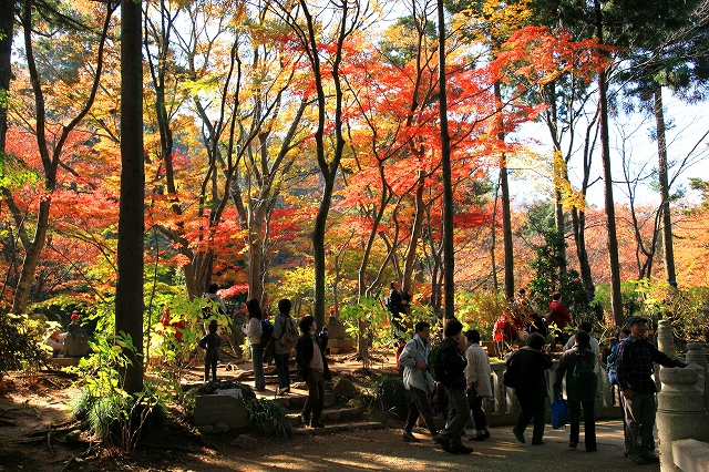 高尾山-5