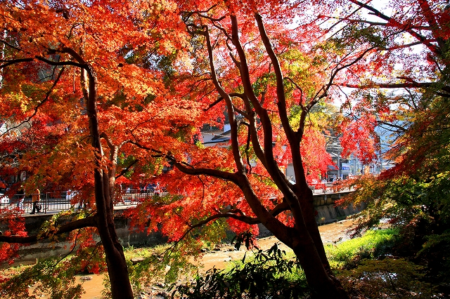 高尾山-13