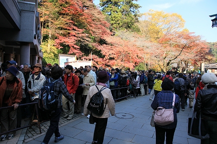 高尾山-6