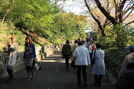 鳩山会館-6