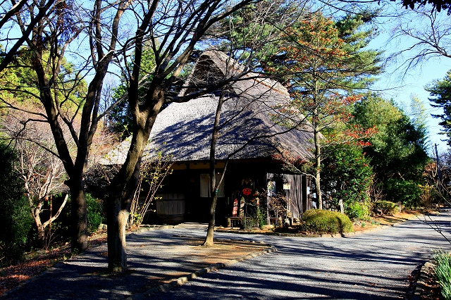 冬の虹の郷-19