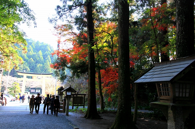小国神社-9