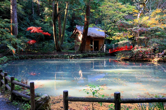 小国神社-4