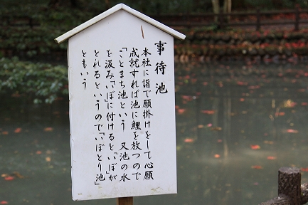 小国神社-7
