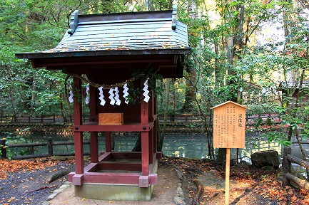 小国神社-8