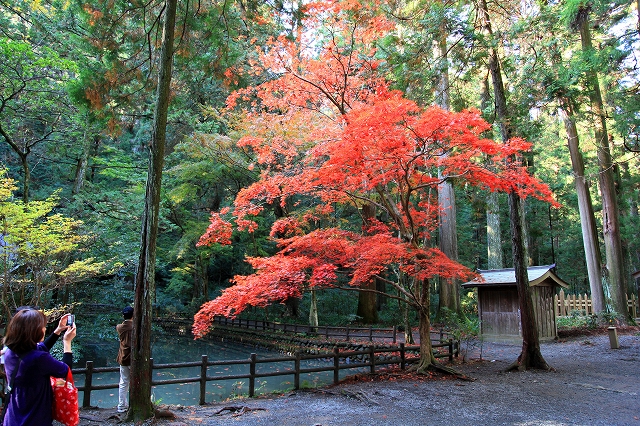 小国神社-10