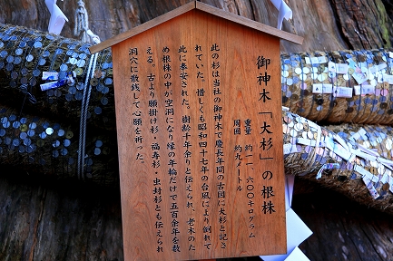 小国神社-8