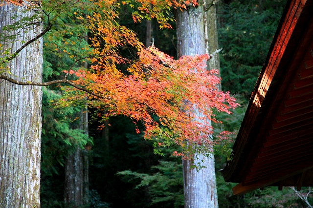 小国神社-9