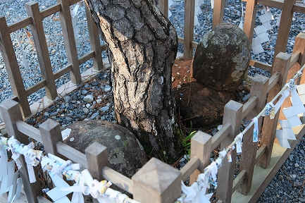 小国神社-3