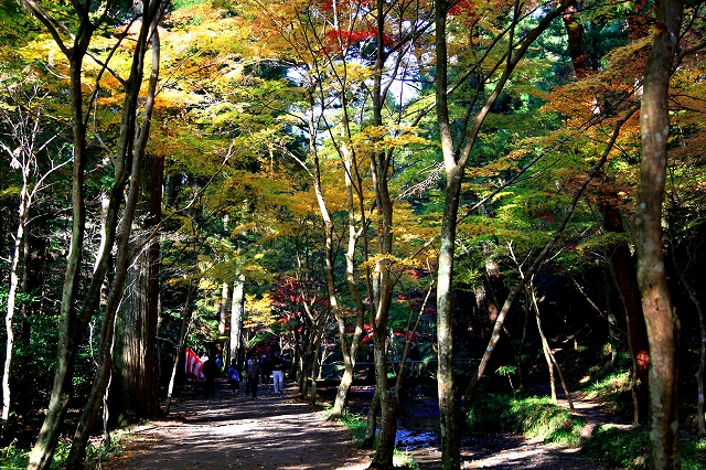 小国神社-5