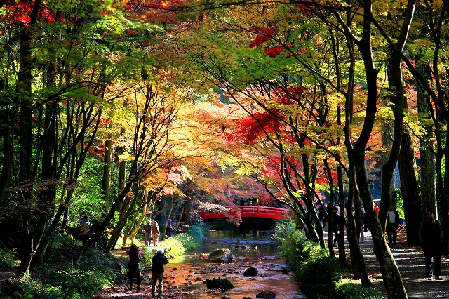 小国神社-1