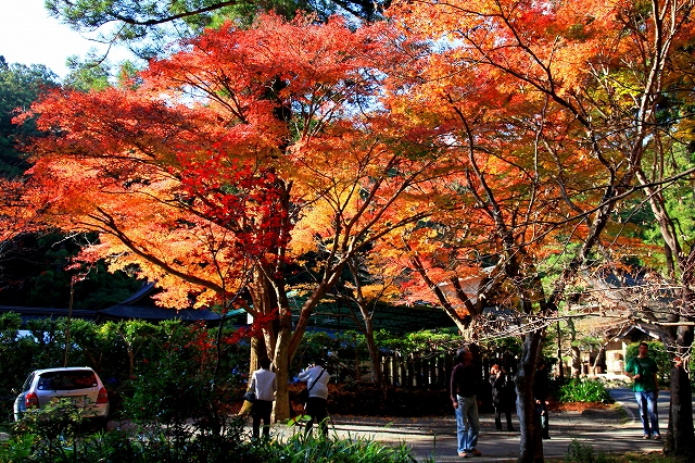 小国神社-3