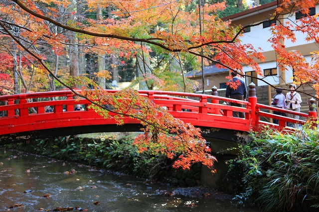 小国神社-4
