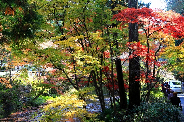 小国神社-7