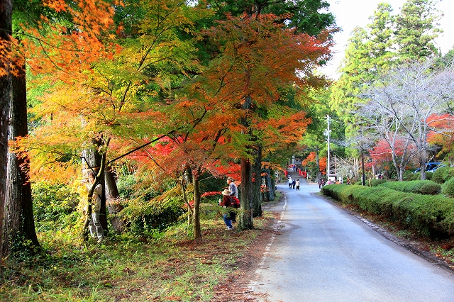 大洞院-2