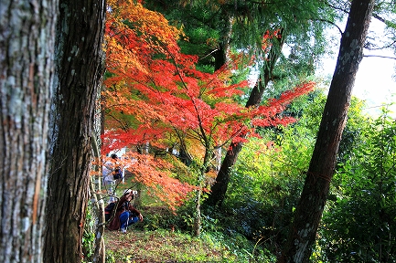 大洞院-4