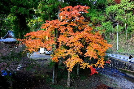 大洞院-2