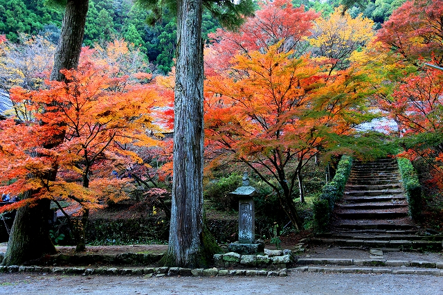 大洞院-5