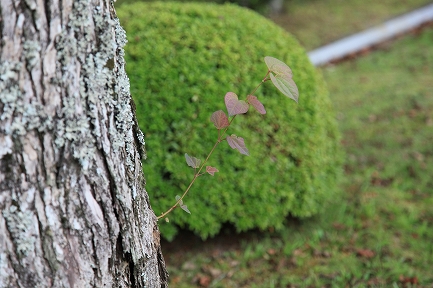 御殿場平和公園-7