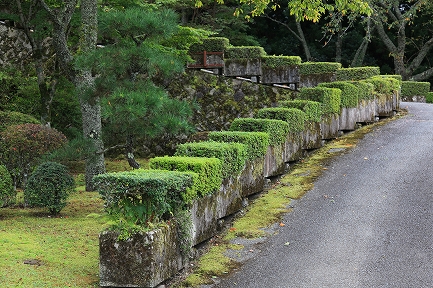 御殿場平和公園-6
