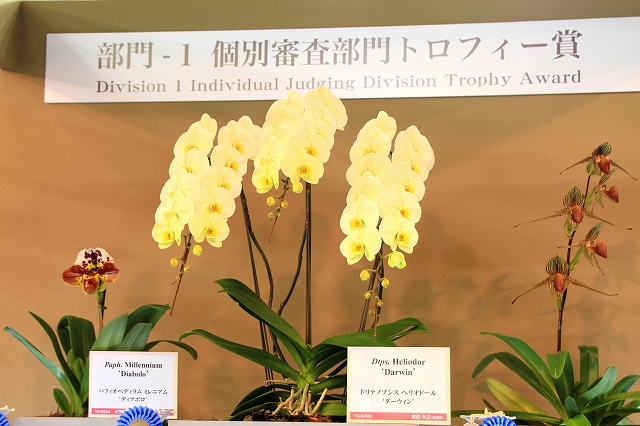 らん展-12
