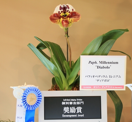らん展-15