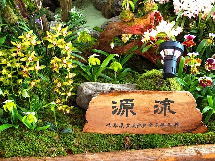 らん展-2