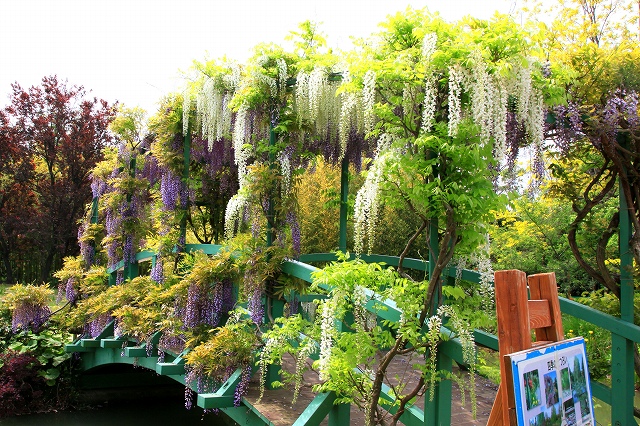 花の美術館-2