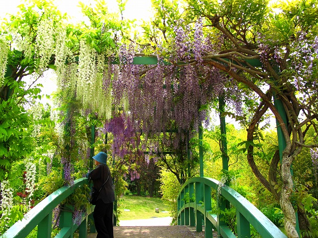 花の美術館-4