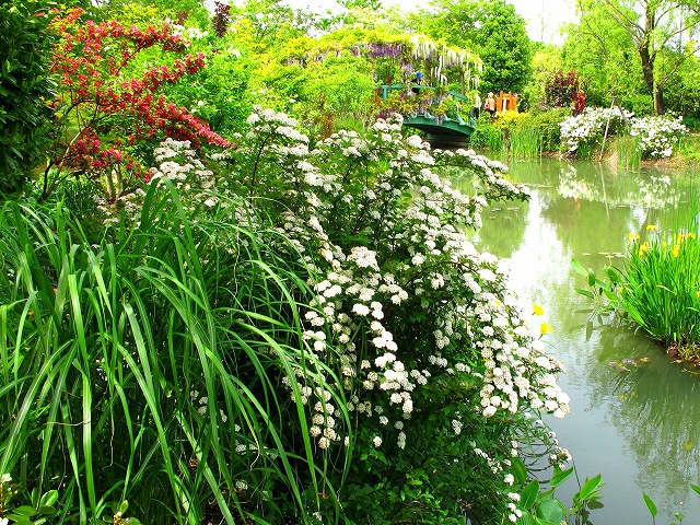 花の美術館-6