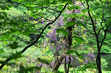 湯沢町-5