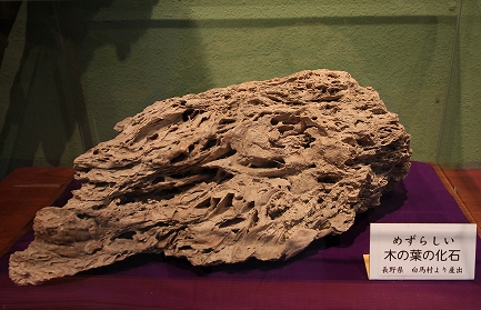Àã¹ñ´ñÌÚ´Û-10