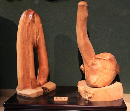 Àã¹ñ´ñÌÚ´Û-12