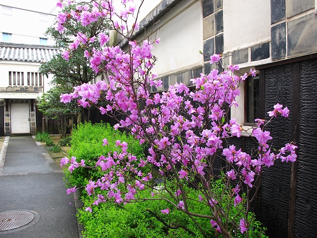 大原美術館-10