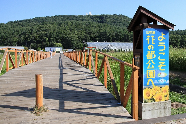 山中湖・花の都公園-1
