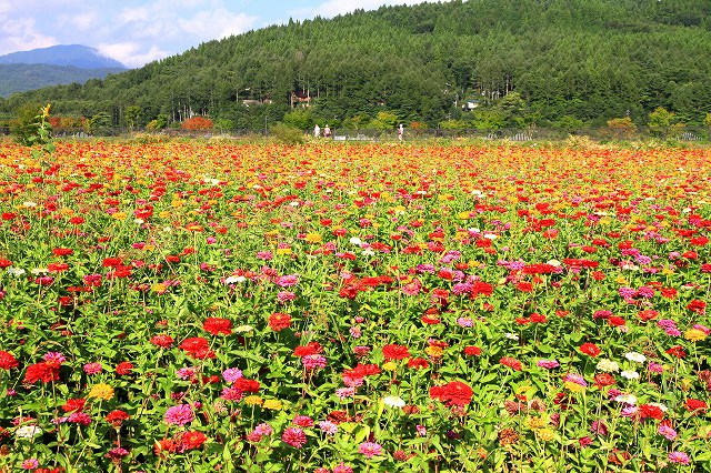 花の都公園-2