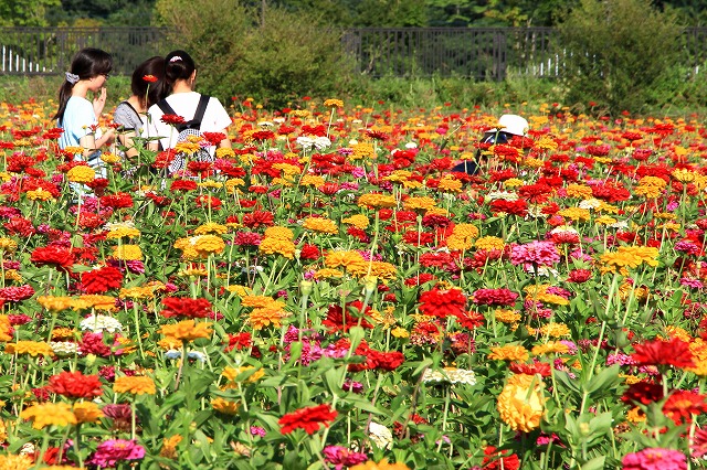花の都公園-4