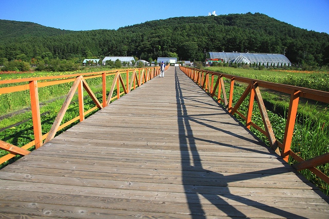 花の都公園-6