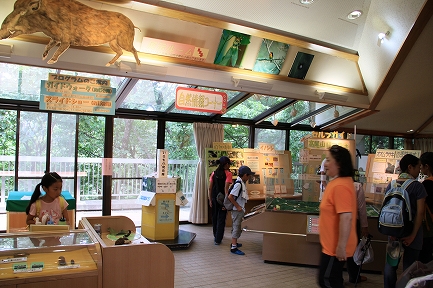 高尾山-16