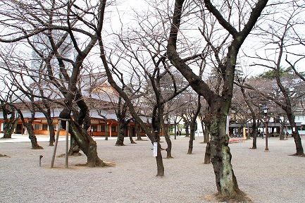 靖国神社-8