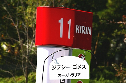 大道芸-1