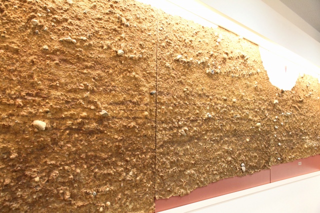 遺構展示館-3
