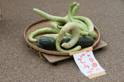 スナップ-5