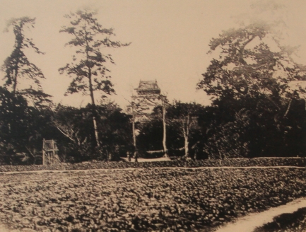 柳川-7