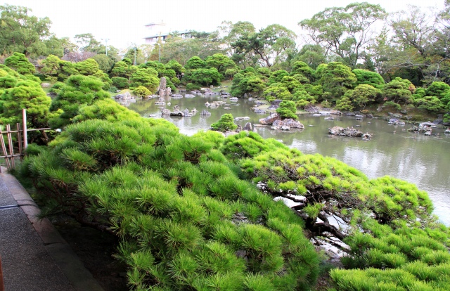 御花-10