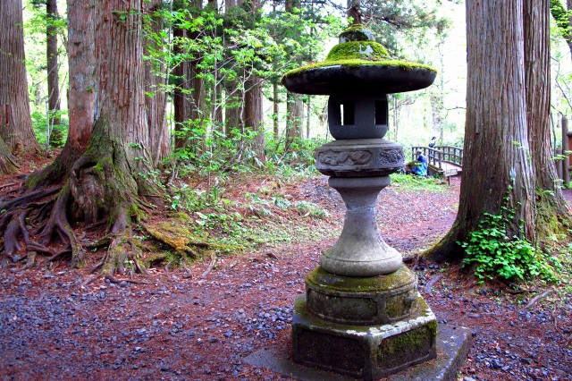 神社参道-6