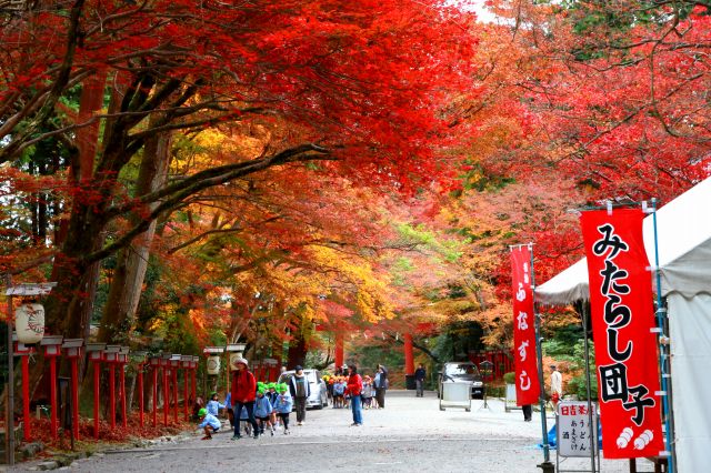 日吉大社の紅葉-2